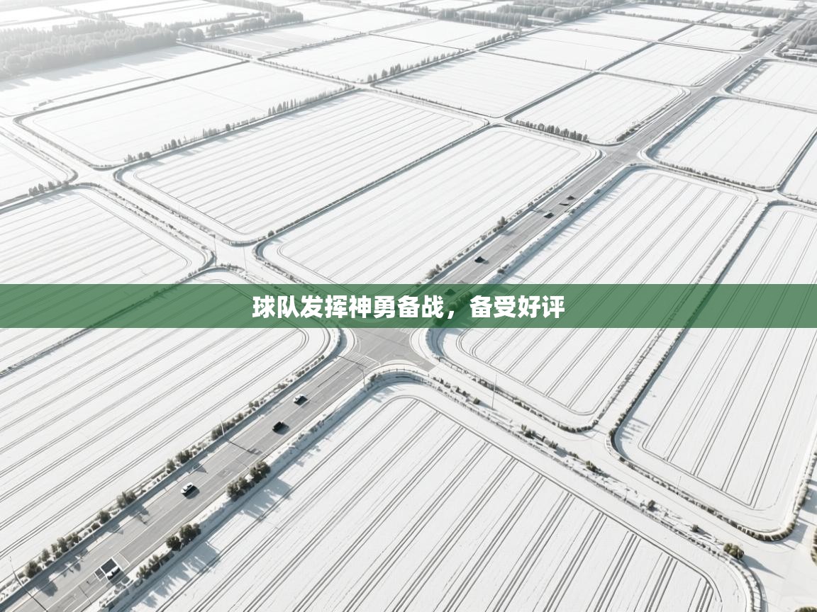 球队发挥神勇备战,备受好评 第1张
