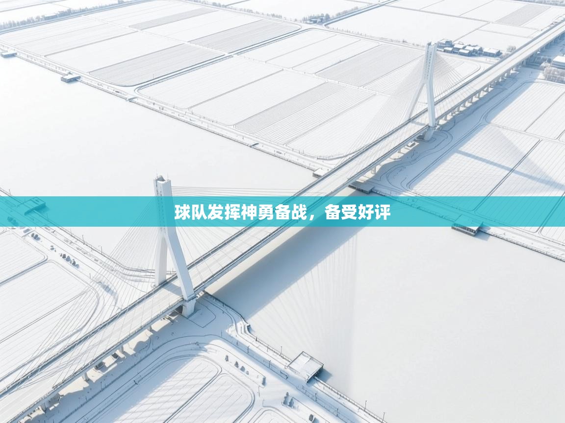 球队发挥神勇备战,备受好评 第2张