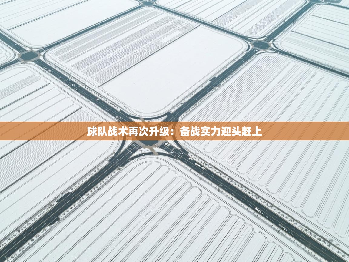 球队战术再次升级：备战实力迎头赶上  第2张