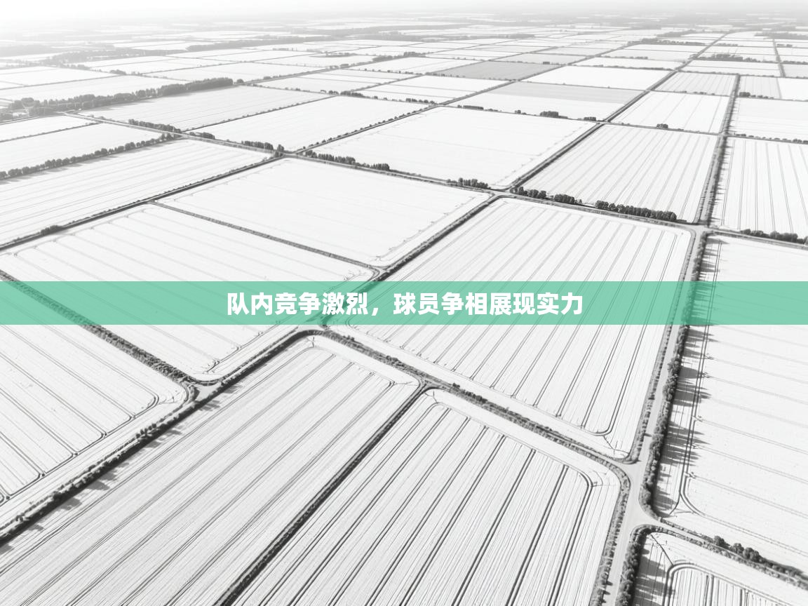 队内竞争激烈,球员争相展现实力 第1张