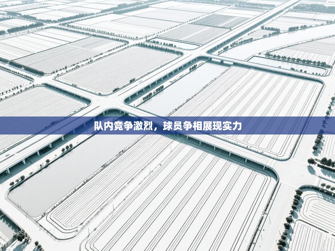 队内竞争激烈,球员争相展现实力 第2张