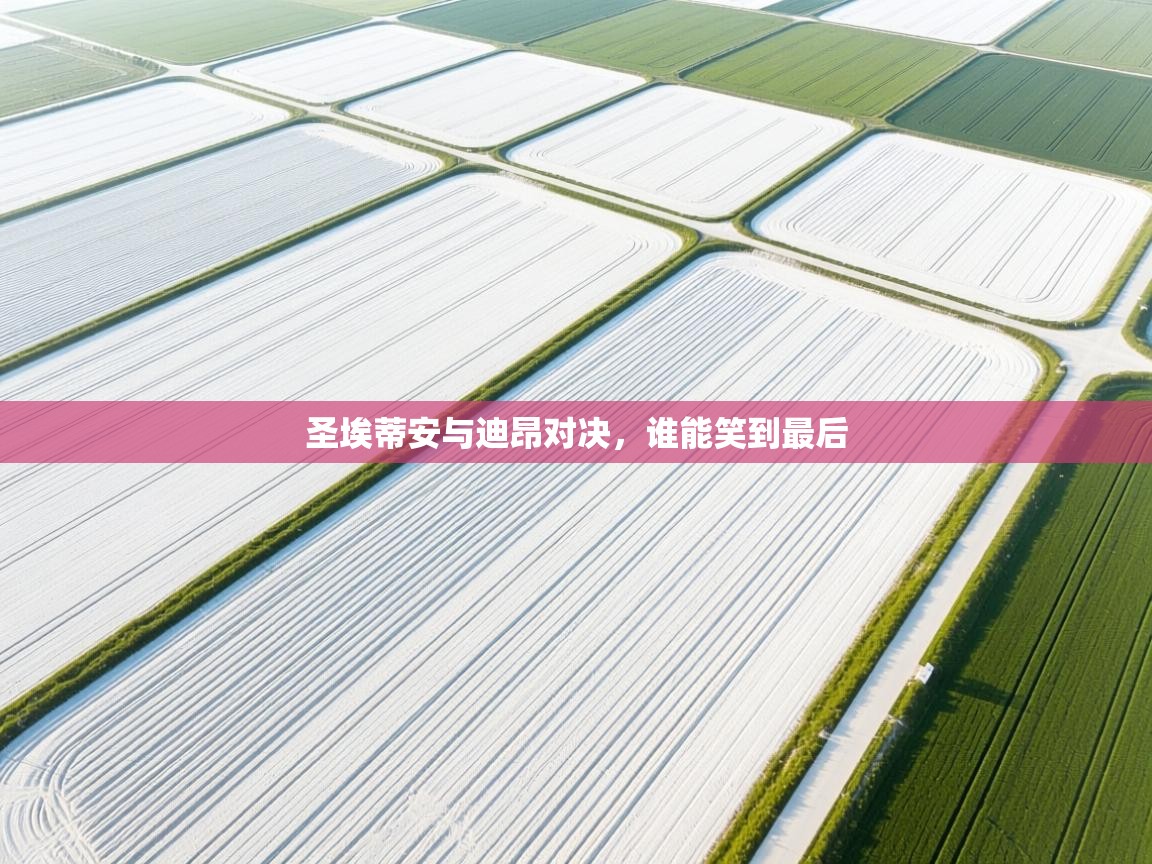 圣埃蒂安与迪昂对决，谁能笑到最后  第1张