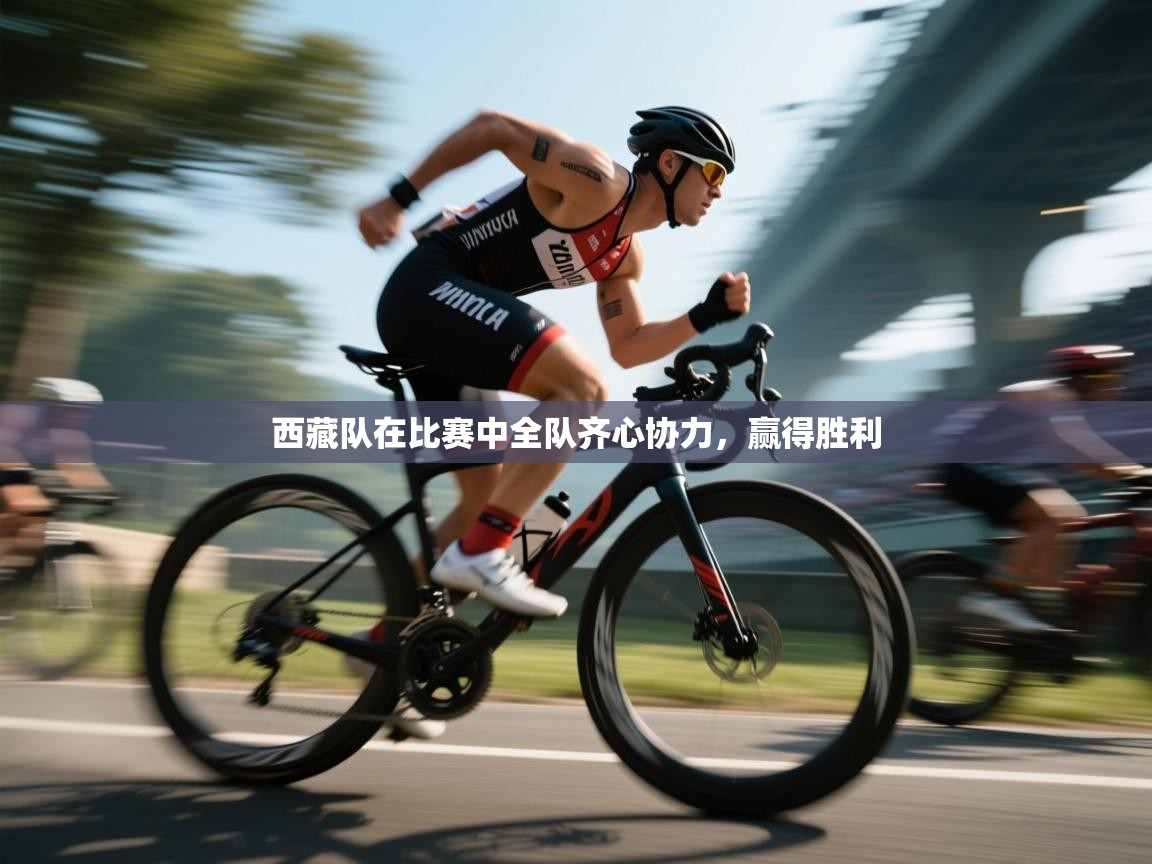 西藏队在比赛中全队齐心协力,赢得胜利 第1张